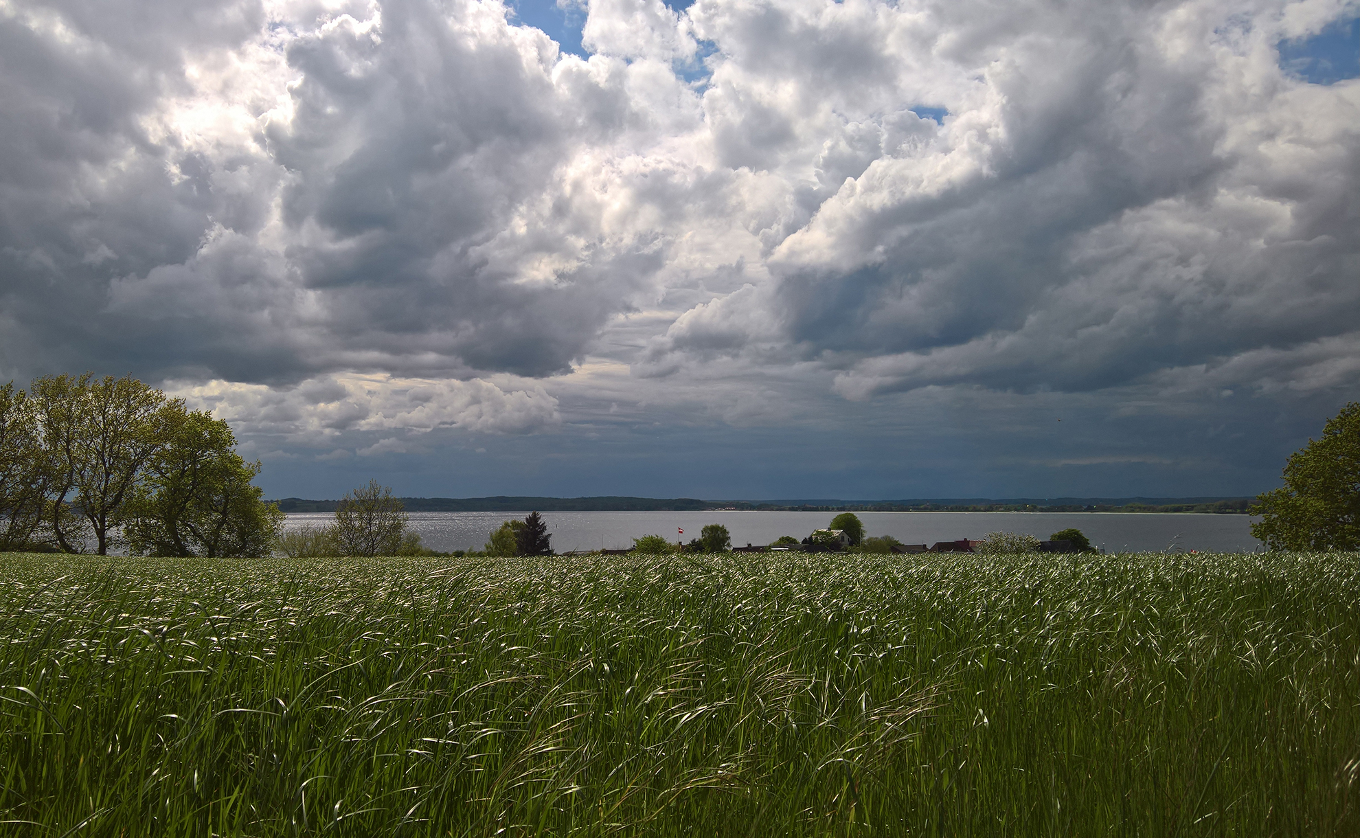 Flensborg Fjord set fra Brunsnæs.