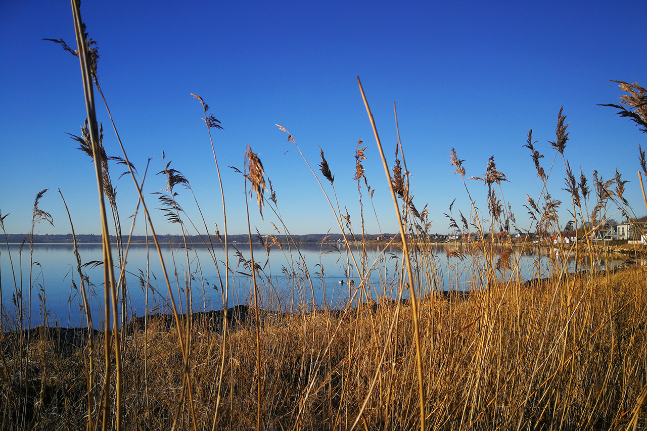 Strandkanten ved Marina Minde.